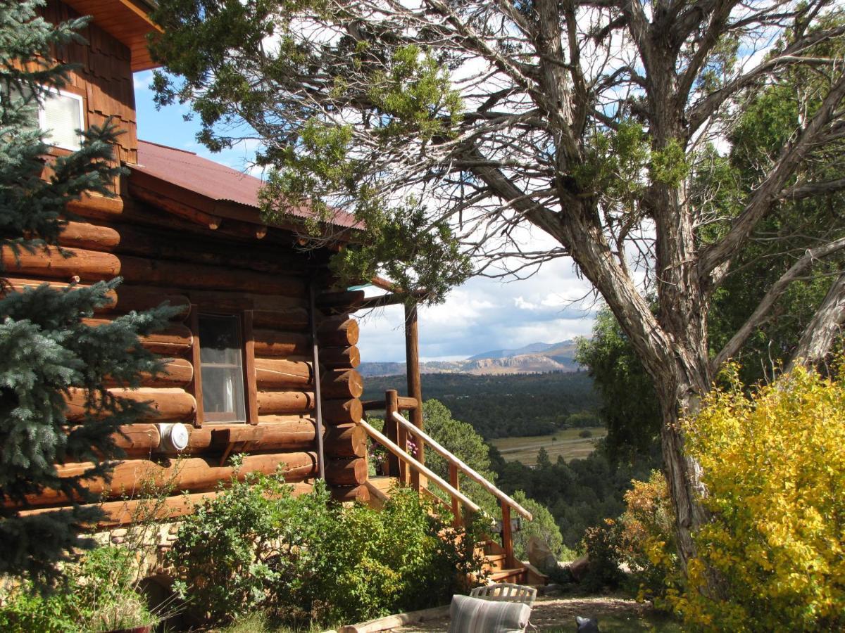 Starry Nights Ranch Bed & Breakfast Mancos Zewnętrze zdjęcie